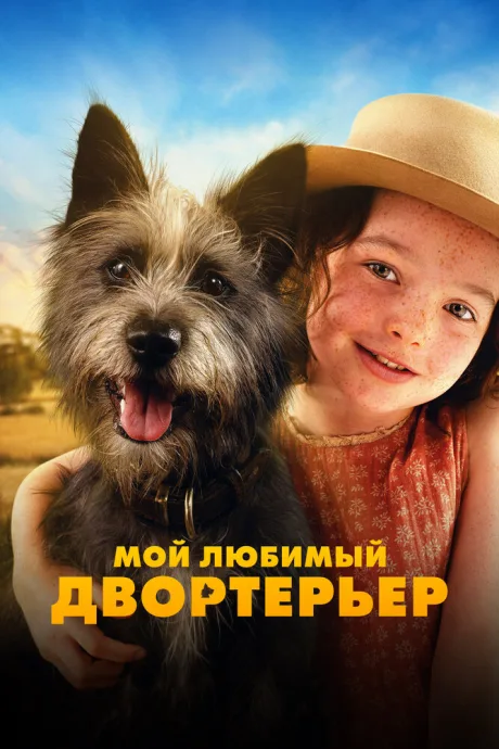 Мой любимый двортерьер — постер