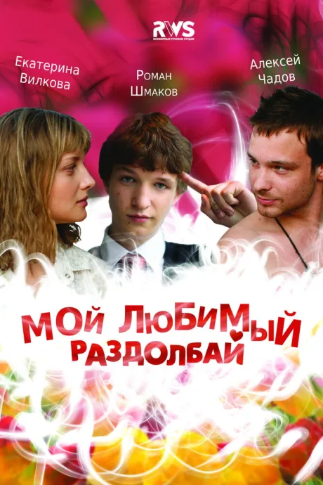 Мой любимый раздолбай — постер