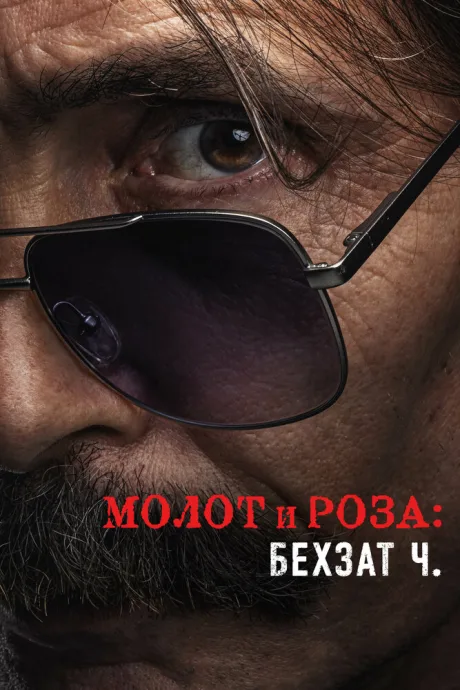 Молот и роза: Бехзат Ч. — постер