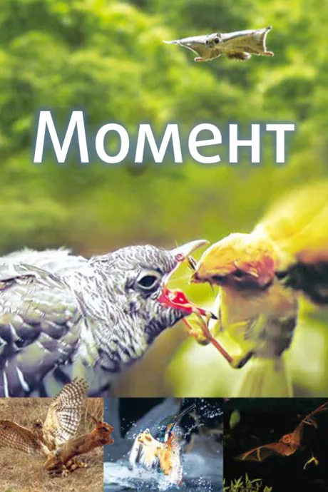 Момент — постер