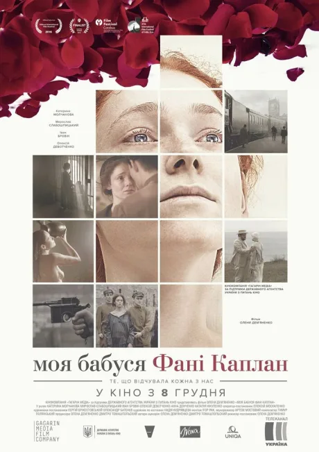 Моя бабушка Фанни Каплан — постер