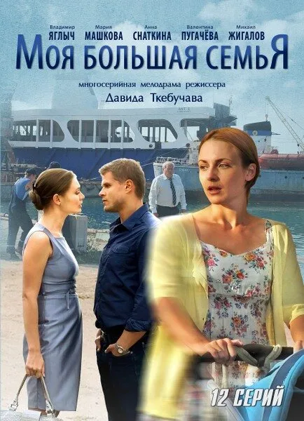 Моя большая семья — постер