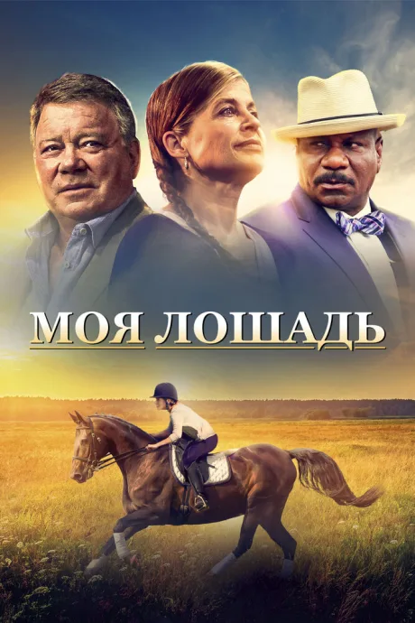 Моя лошадь — постер