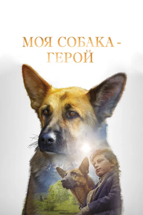 Моя собака — герой — постер