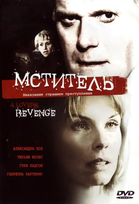 Мститель — постер