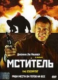 Мститель — постер