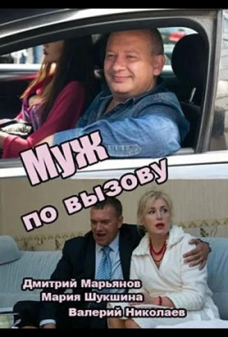 Муж по вызову — постер