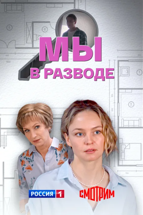 Мы в разводе — постер