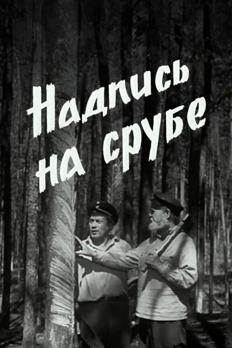 Надпись на срубе — постер