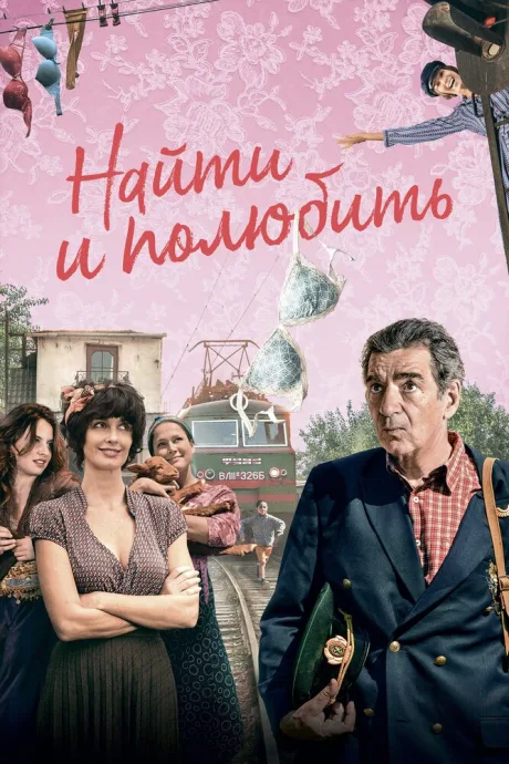 Найти… и полюбить — постер