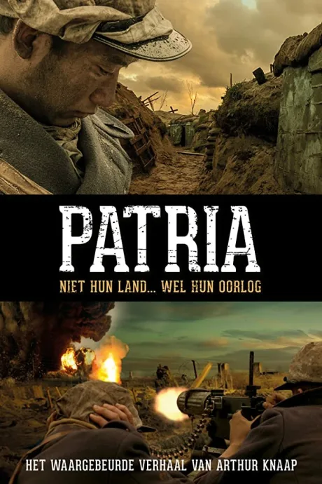 Не их страна, но их война — постер