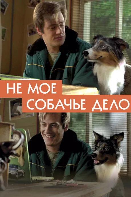 Не моё собачье дело — постер