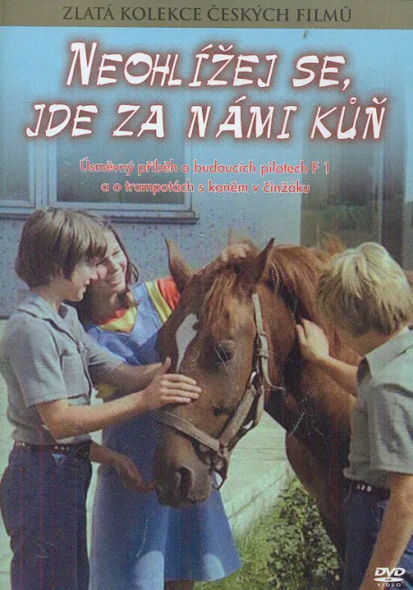 Не оглядывайся, за нами лошадь! — постер