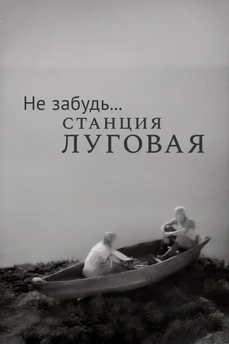 Не забудь… станция Луговая — постер