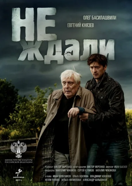 Не ждали — постер
