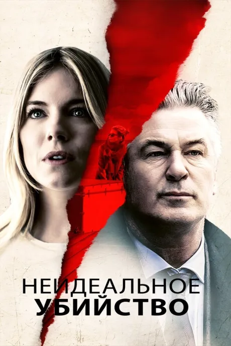 Неидеальное убийство — постер