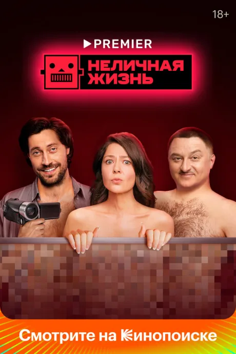 Неличная жизнь — постер
