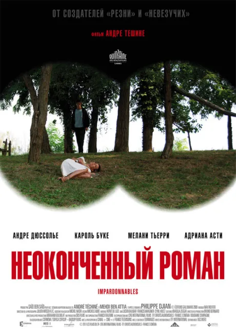 Неоконченный роман — постер