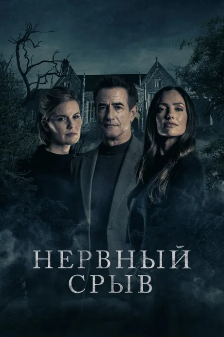Нервный срыв — постер