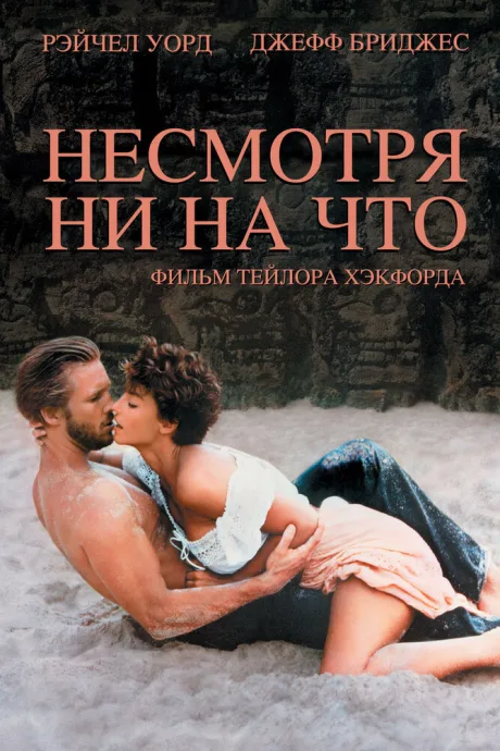 Несмотря ни на что — постер