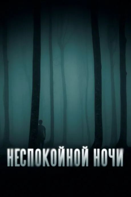 Неспокойной ночи — постер
