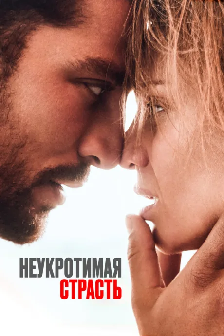 Неукротимая страсть — постер