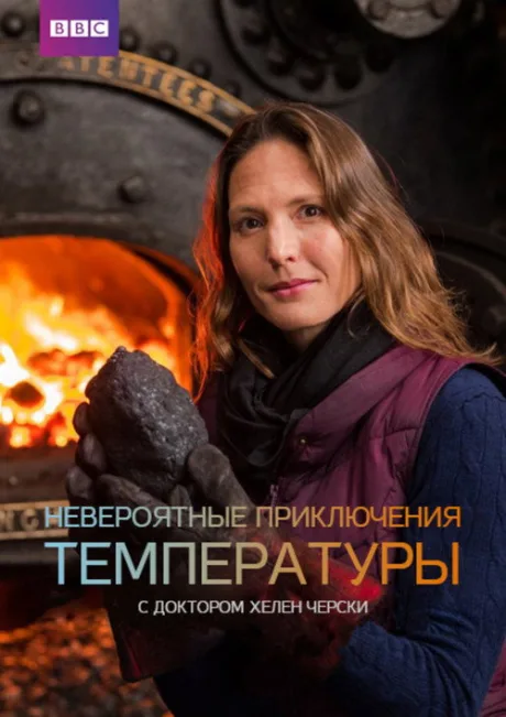 Невероятные приключения температуры — постер