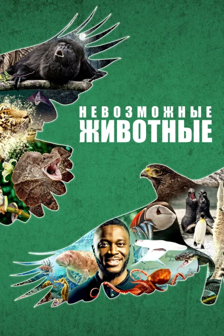 Невозможные животные — постер