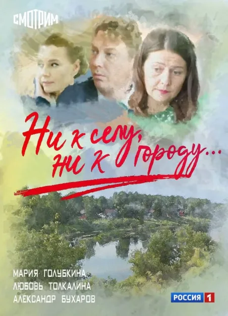 Ни к селу, ни к городу — постер