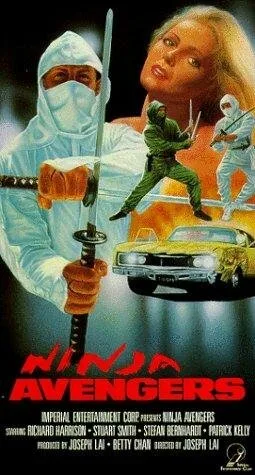Ниндзя-мстители (Операция ниндзя 6: Чемпион в огне) — постер