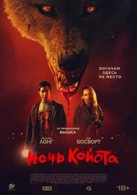 Ночь койота — постер