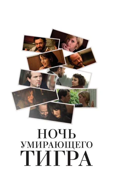 Ночь умирающего тигра — постер