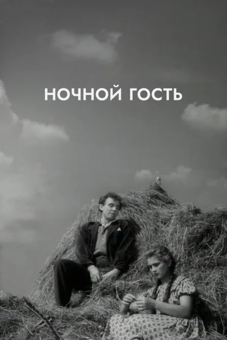 Ночной гость — постер