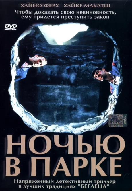 Ночью в парке — постер