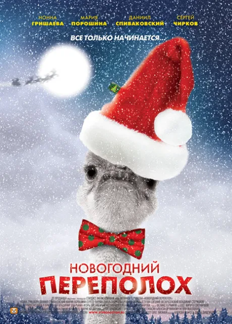 Новогодний переполох — постер
