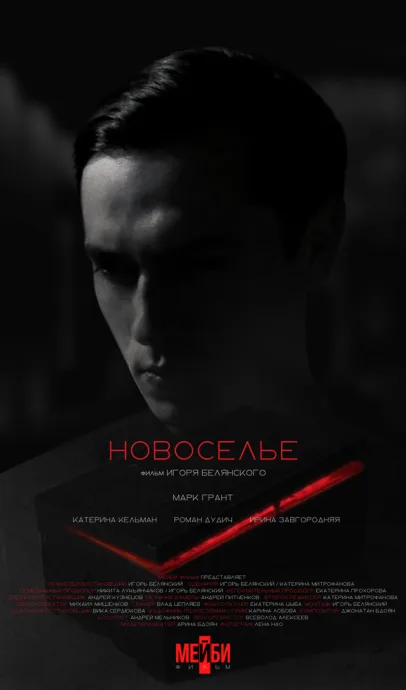 Новоселье — постер