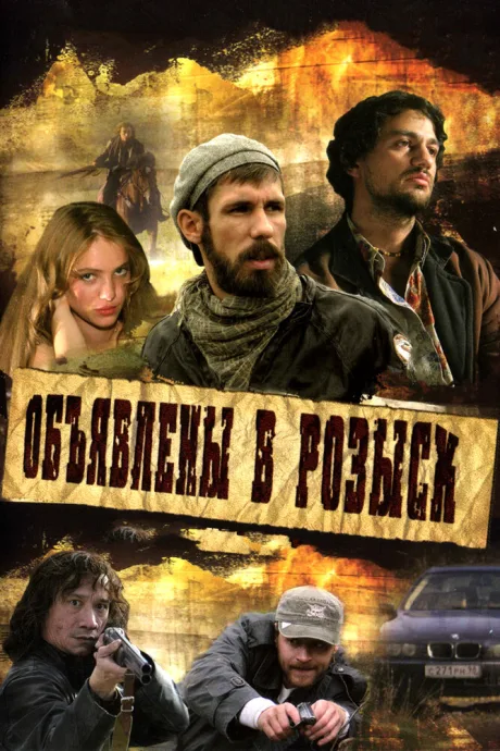 Объявлены в розыск — постер