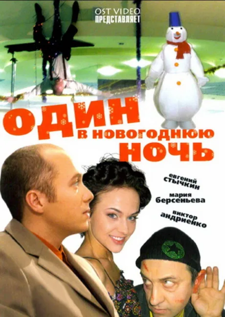 Один в новогоднюю ночь — постер