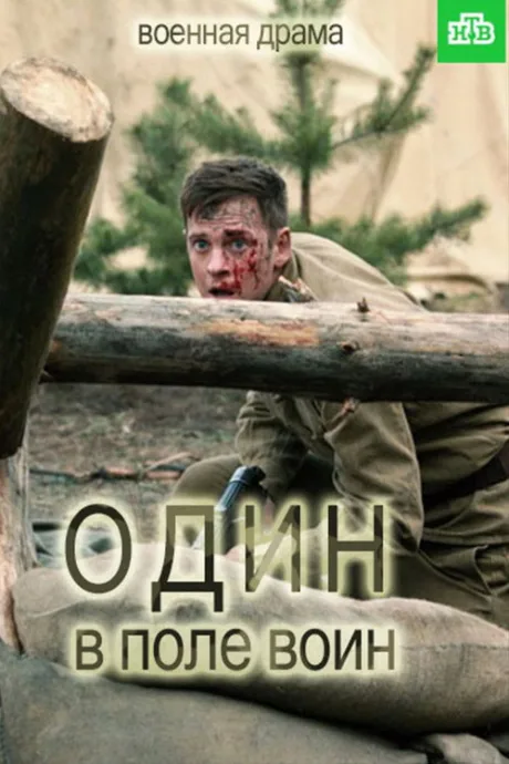 Один в поле воин — постер