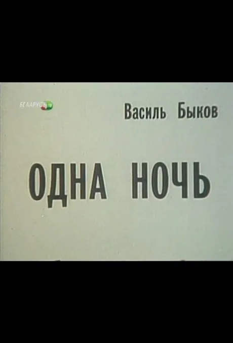 Одна ночь — постер