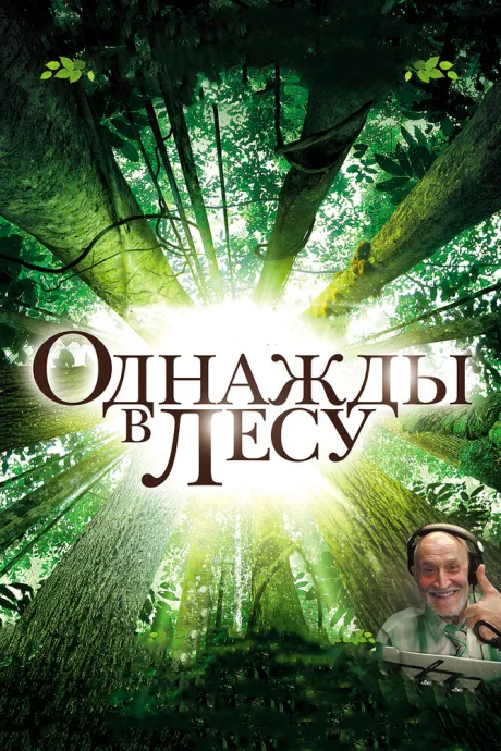 Однажды в лесу — постер
