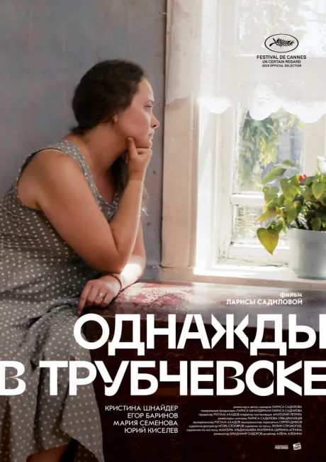 Однажды в Трубчевске — постер