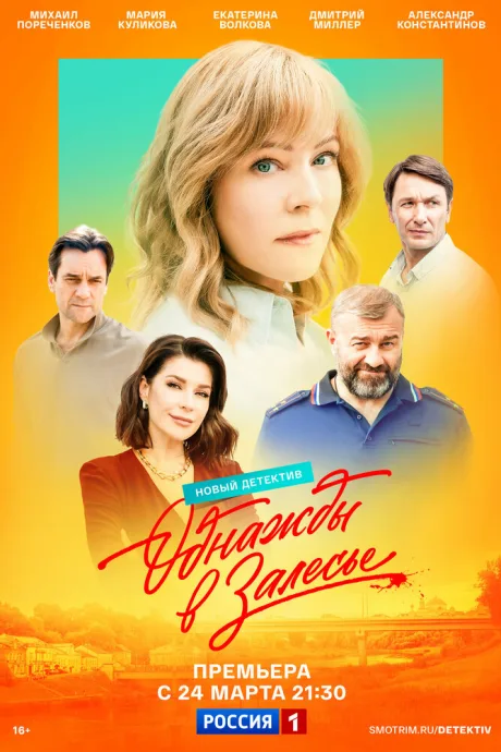 Однажды в Залесье — постер