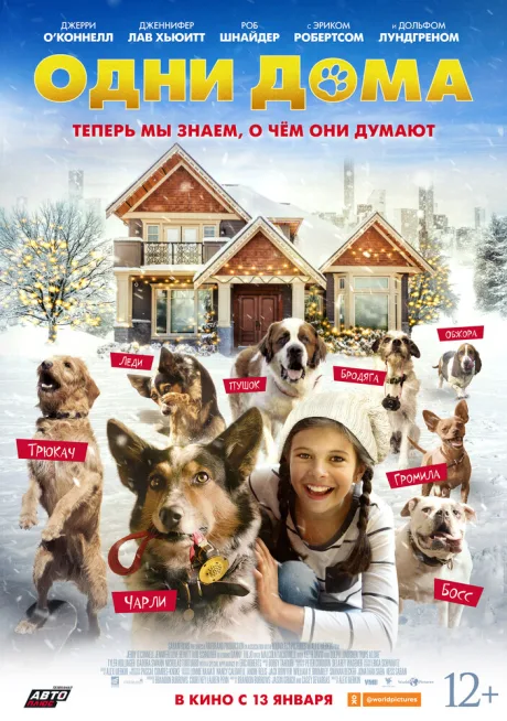 Одни дома — постер
