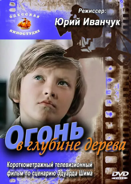 Огонь в глубине дерева — постер