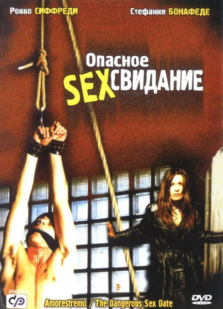 Опасное секс свидание — постер