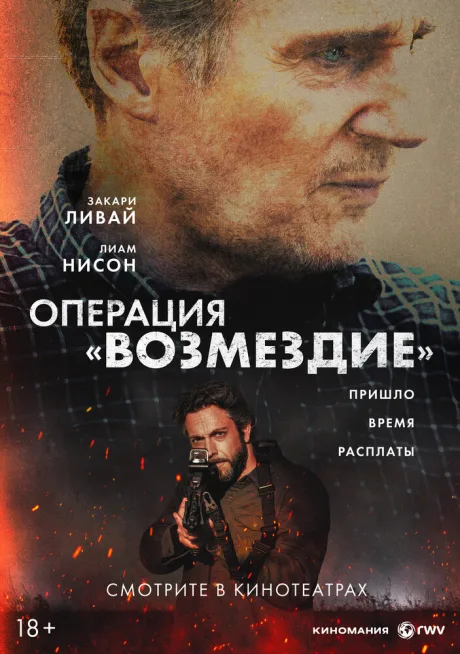 Операция «Возмездие» — постер