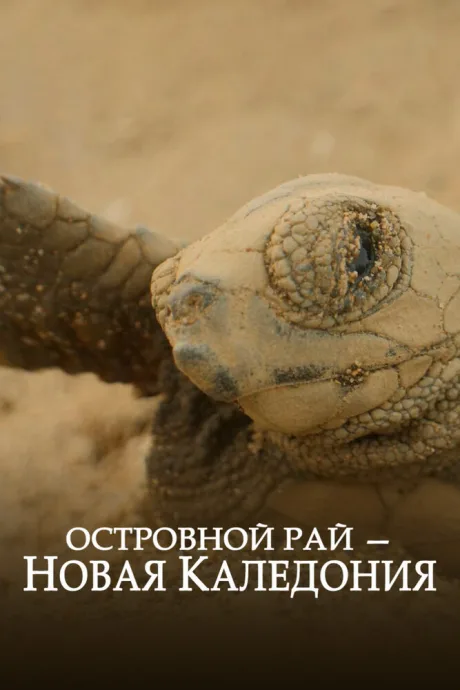 Островной рай – Новая Каледония — постер