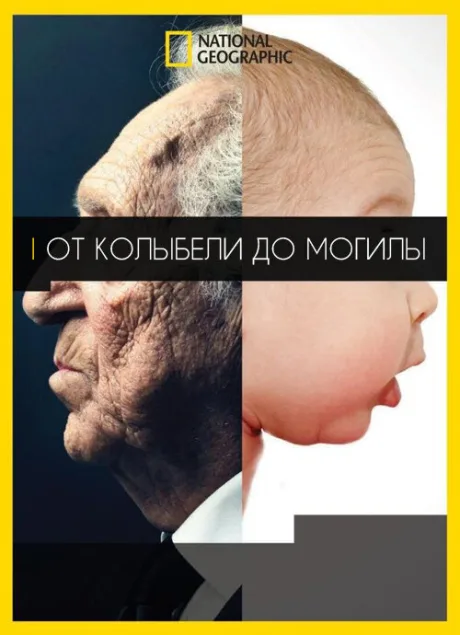 От колыбели до могилы — постер