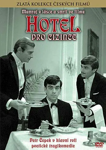 Отель для чужестранцев — постер